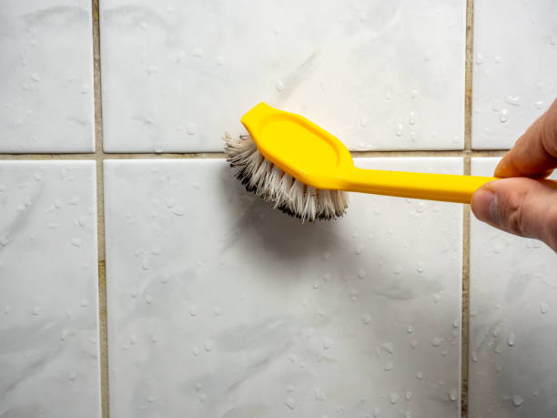 Best Commercial Mold Removal  in Stallion Springs, CA